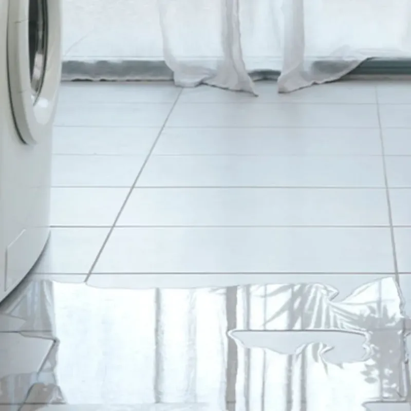Appliance Leak Cleanup in Mount Clemens, MI