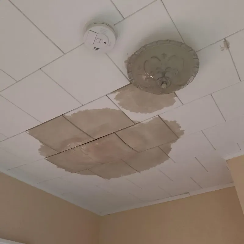 Ceiling Water Damage Repair in Mount Clemens, MI