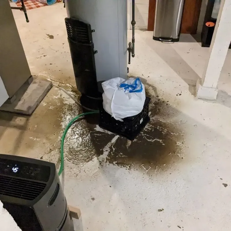 Sewage Backup Cleanup Service in Mount Clemens, MI